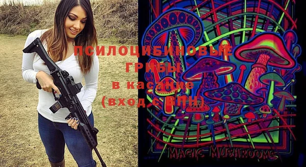 скорость Алзамай