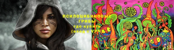 ешки Алексеевка