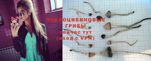 скорость Алзамай