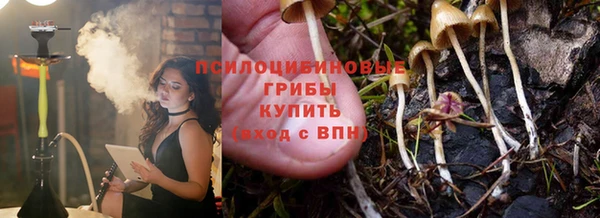 ГАЛЛЮЦИНОГЕННЫЕ ГРИБЫ Алексин