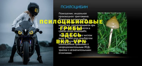ГАЛЛЮЦИНОГЕННЫЕ ГРИБЫ Алексин