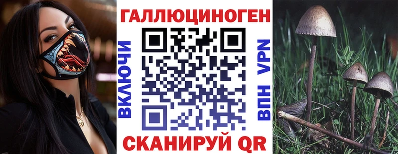 Псилоцибиновые грибы Psilocybe  закладки  blacksprut рабочий сайт  Конаково 
